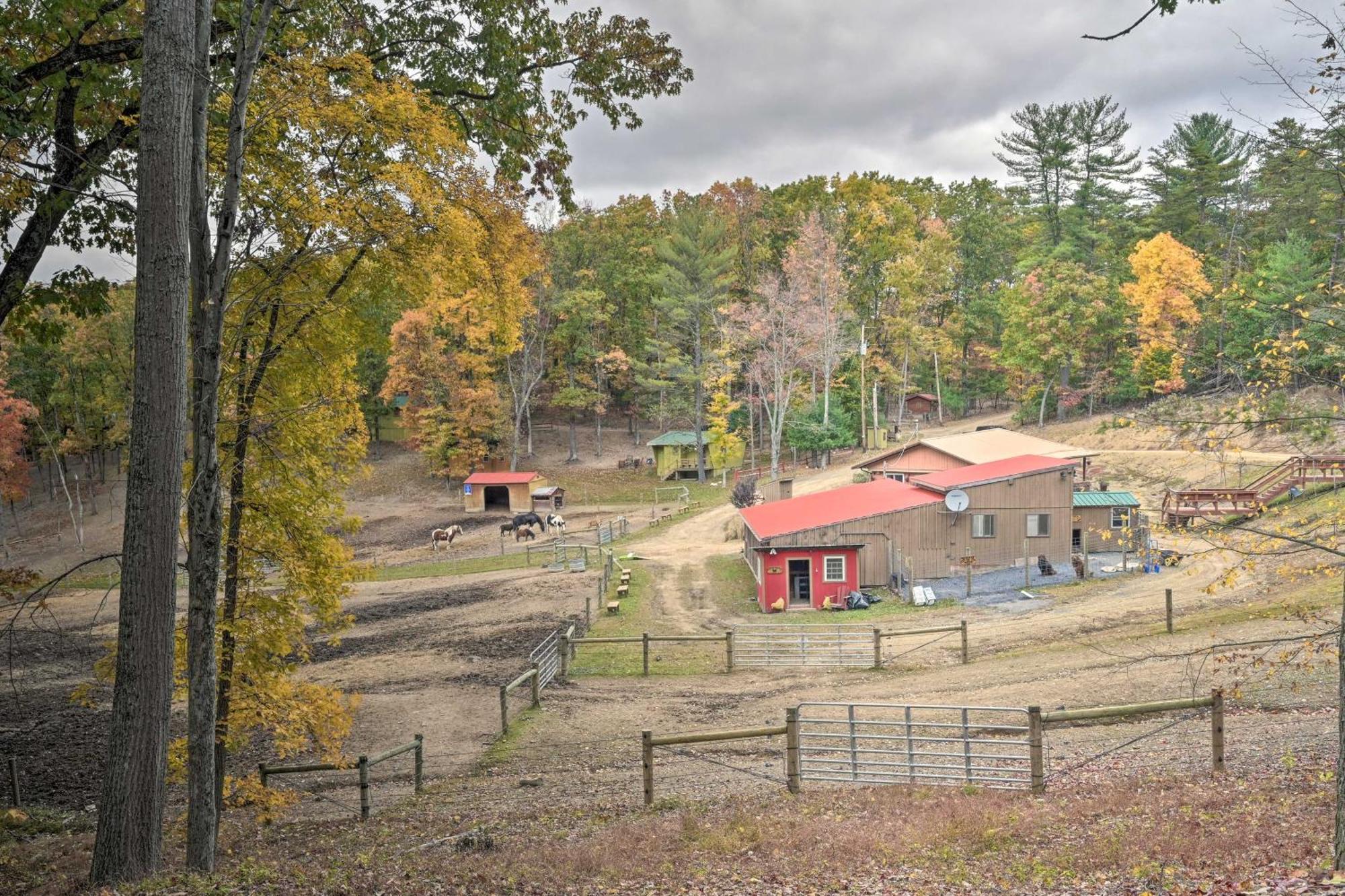 Lone Ranger Cabin With 50 Acres By Raystown Lake 亨丁顿 外观 照片