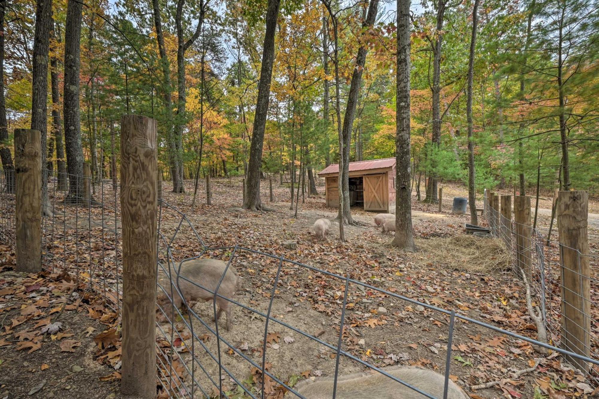 Lone Ranger Cabin With 50 Acres By Raystown Lake 亨丁顿 外观 照片