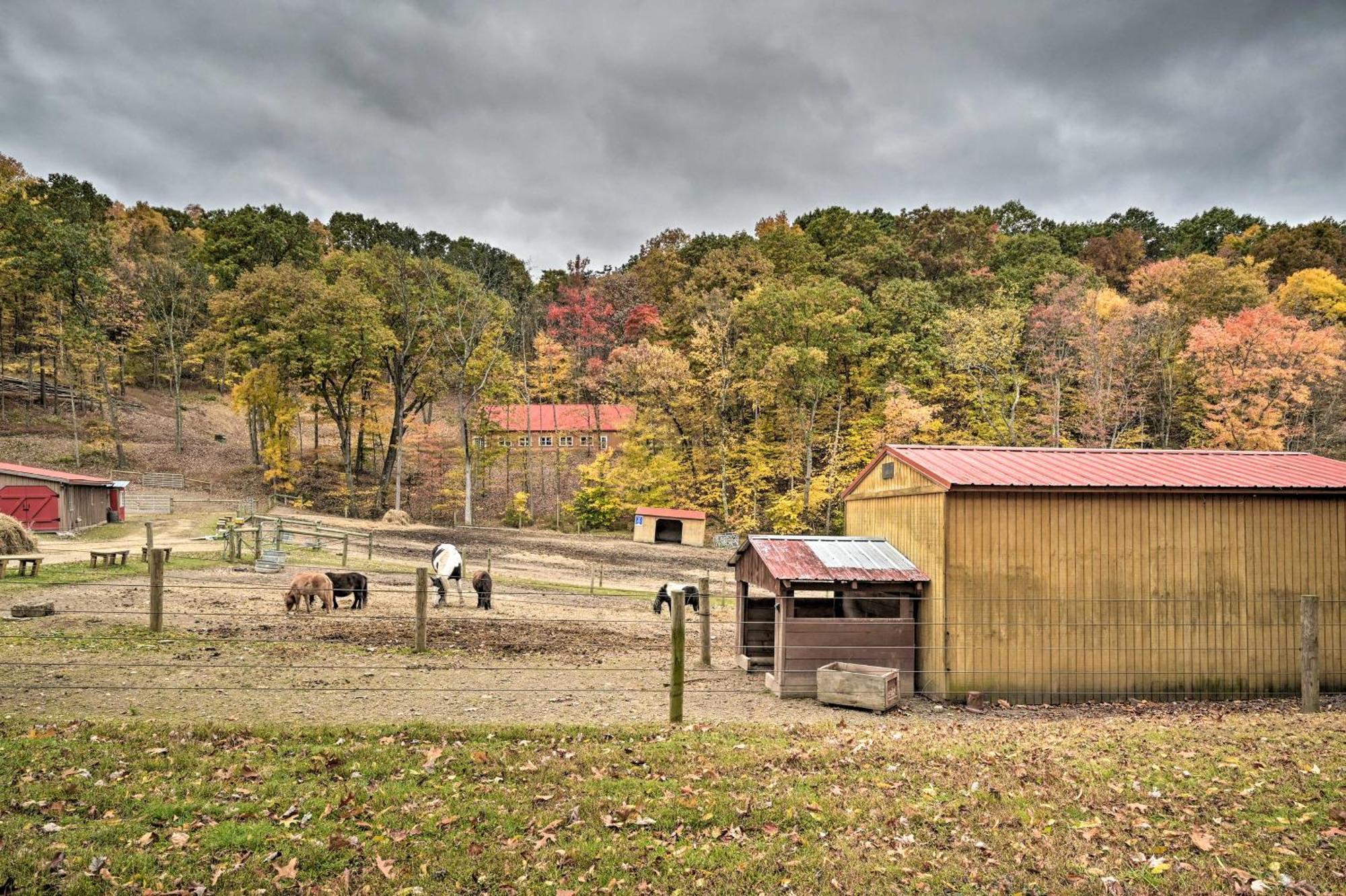 Lone Ranger Cabin With 50 Acres By Raystown Lake 亨丁顿 外观 照片