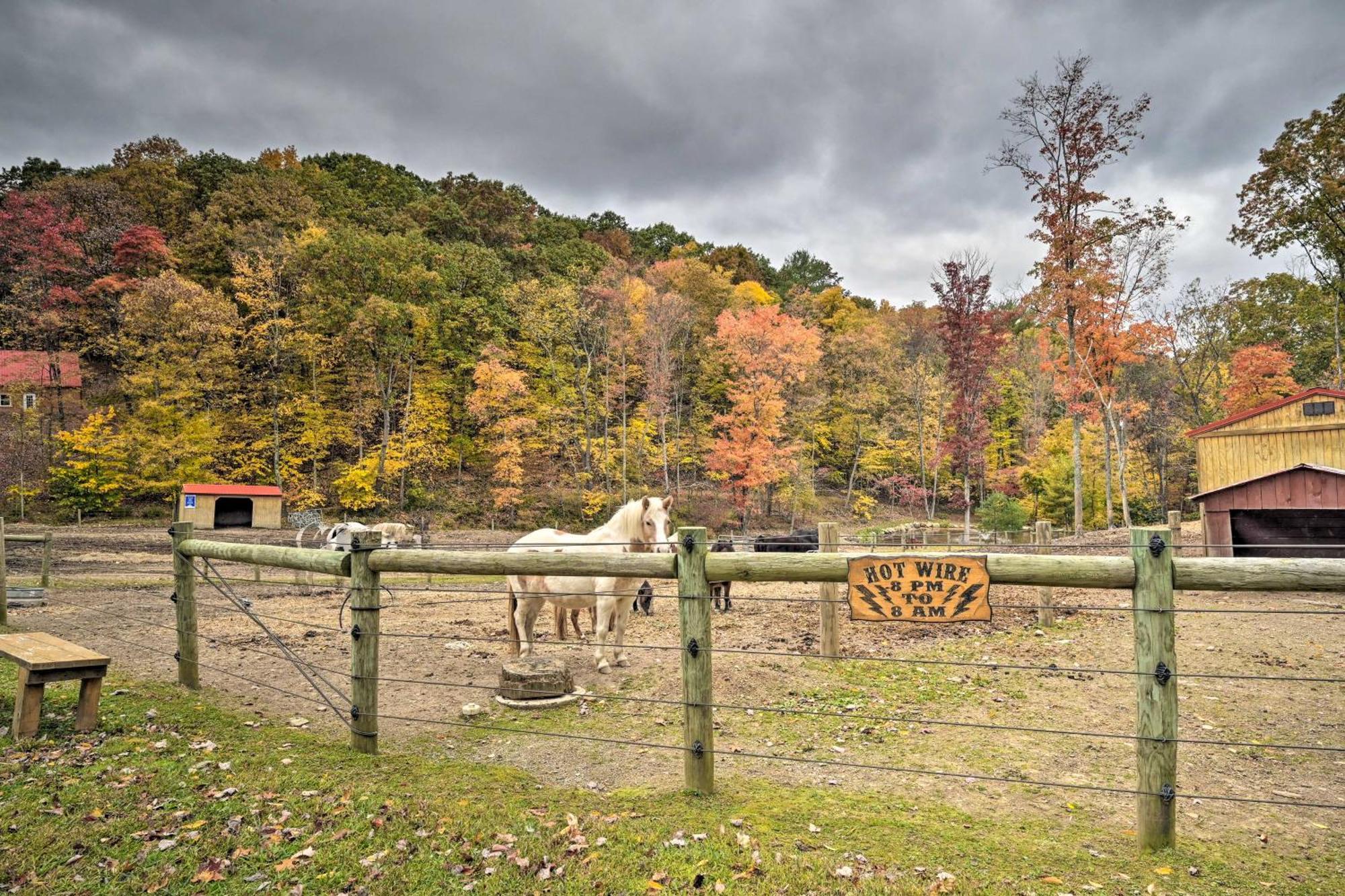 Lone Ranger Cabin With 50 Acres By Raystown Lake 亨丁顿 外观 照片
